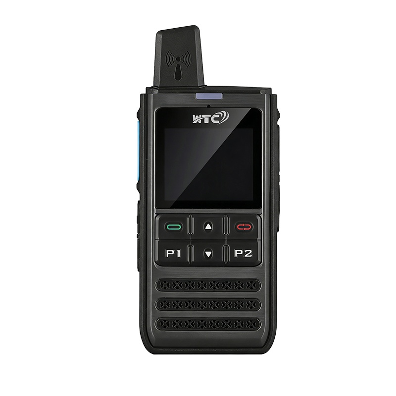 WP303